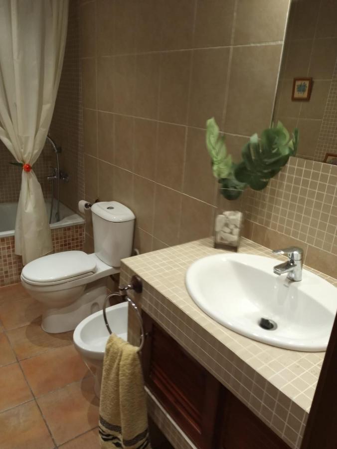 Las Palmeras Vinarós 外观 照片